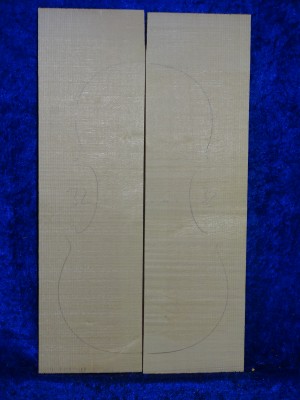 Spruce 3530 bearclaw