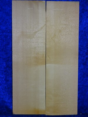 Spruce 3530 bearclaw