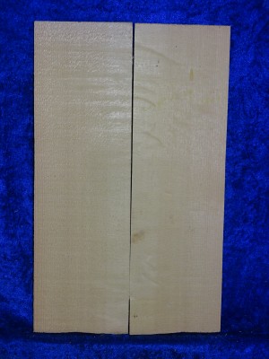 Spruce 3534 bearclaw