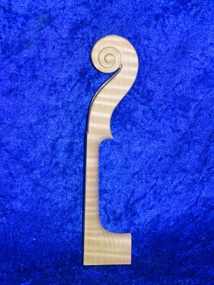 Geigenhals 3584 beste Qualität