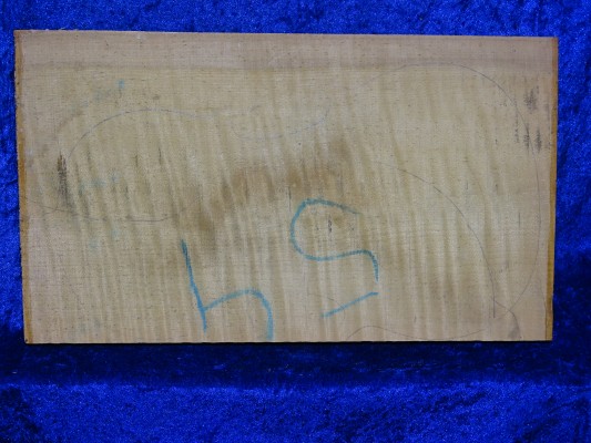 ganzer Ahorn 3601 aus Nachlass