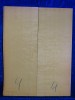 Fichte 3777 Gitarre Hasel