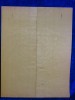 Fichte 3777 Gitarre Hasel