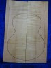 Maple 2535 Guitar