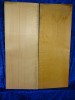 alte Fichte 3126 Hasel