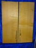 alte Fichte 3126 Hasel