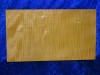 ganzer Ahorn 3292 aus Nachlass