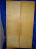 alte Fichte 3307 Hasel