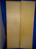 alte Fichte 3307 Hasel