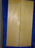 alte Fichte 3134 Cello