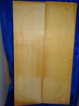 alte Fichte 3307 Hasel
