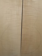 Ahorn, Riegelahorn Archtop