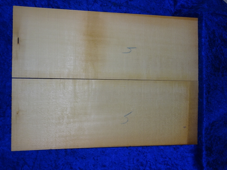 Fichte 3650 Gitarre Nachlass Hasel
