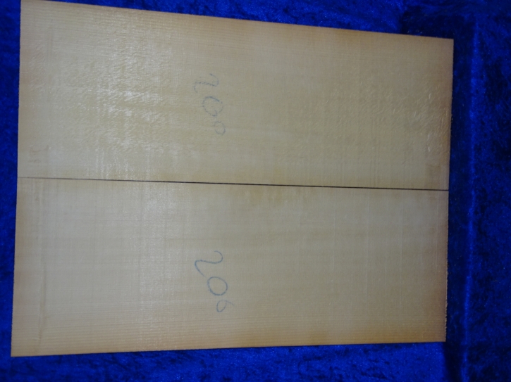 Fichte 3651 Gitarre Nachlass Hasel