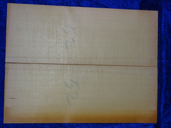 Fichte 3682 Gitarre Nachlass Hasel