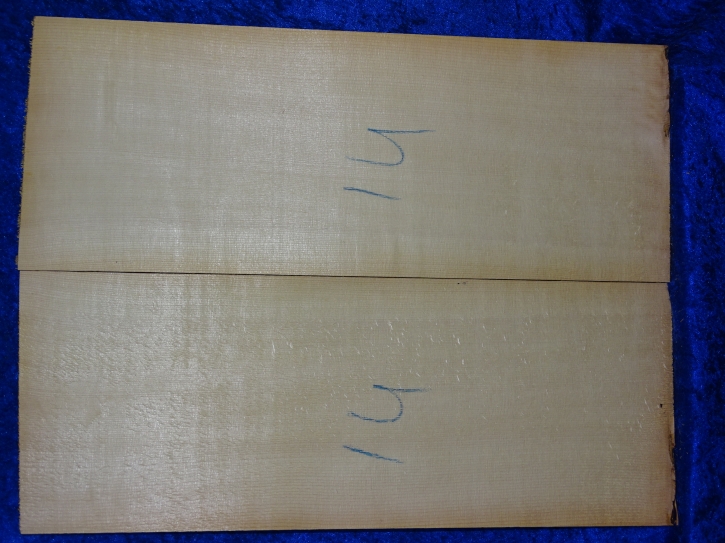 Fichte 3683 Gitarre Nachlass Hasel