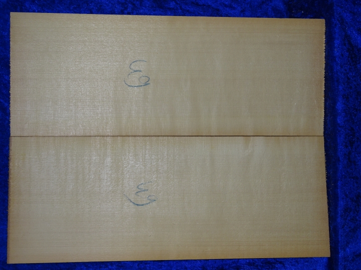 Fichte 3685 Gitarre Nachlass Hasel