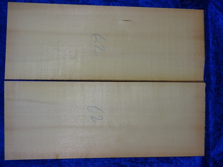 Fichte 3692 Gitarre Nachlass Hasel