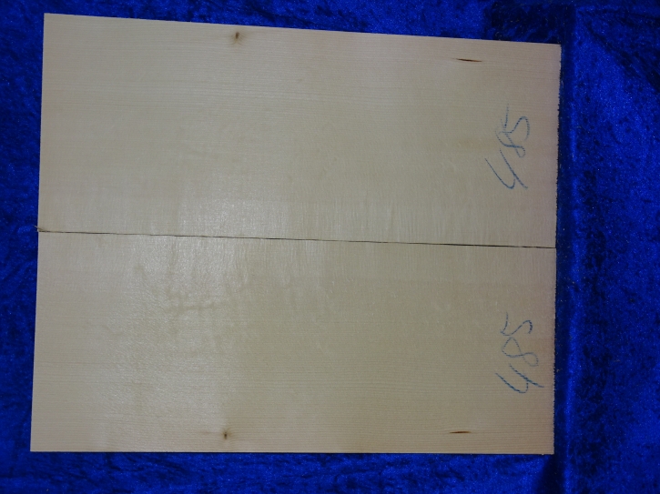 Fichte 3725 Gitarre Hasel