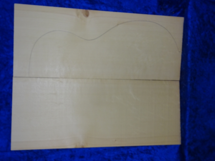 Fichte 3728 Gitarre Hasel