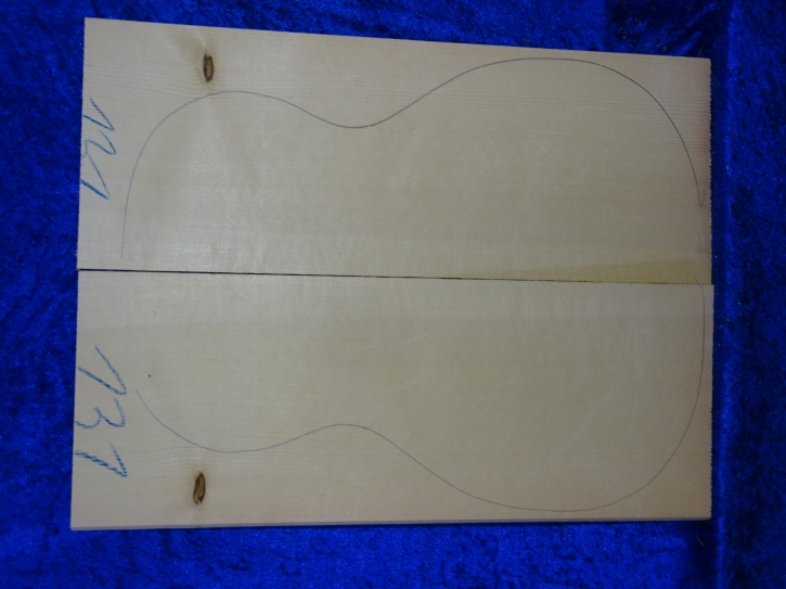 Fichte 3729 Gitarre Hasel