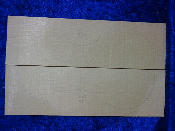 Spruce 3746