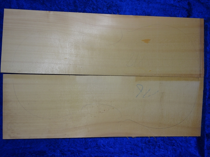old Spruce 3766