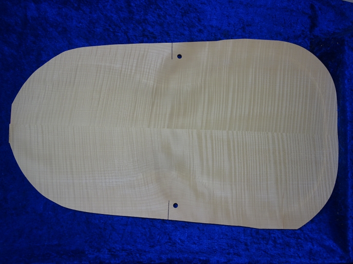 carved old cello back 3777