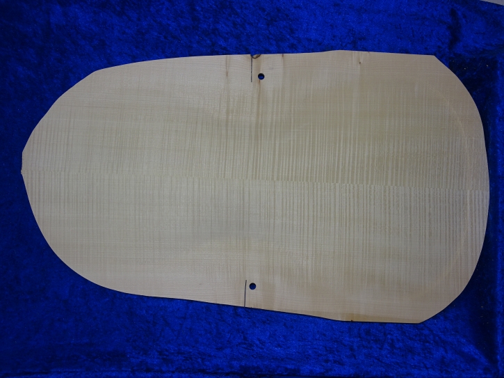 carved old cello back 3779