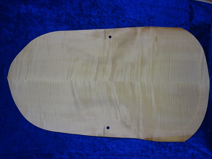 carved old cello back 3783