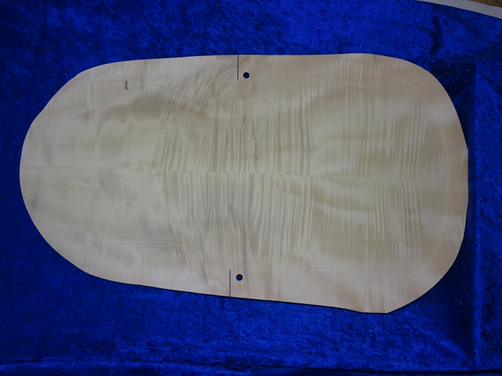 carved old cello back 3785