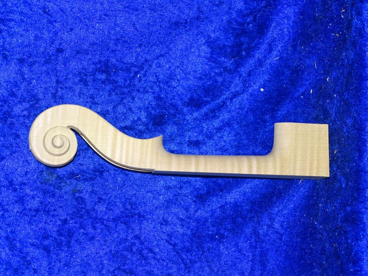 Violahals 3823