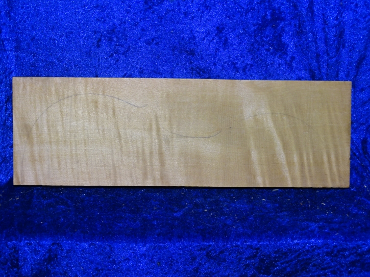 Ahorn 3831