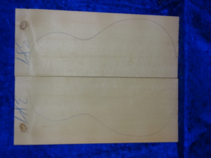 Fichte 3850 Gitarre Hasel