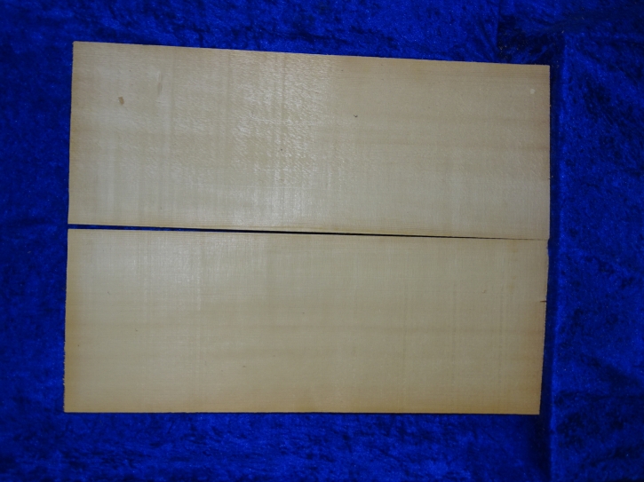 Fichte 3858 Gitarre Nachlass
