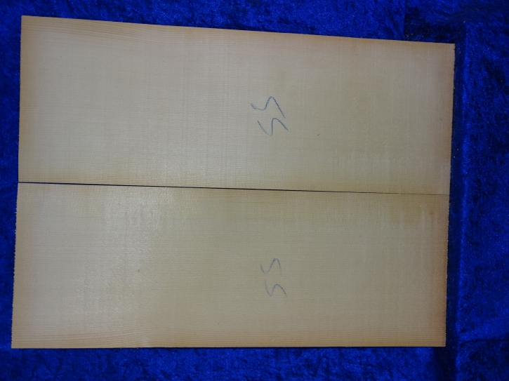 Fichte 3859 Gitarre Nachlass
