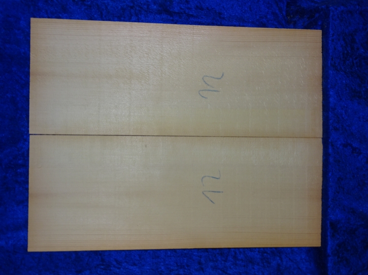 Fichte 3861 Gitarre Nachlass
