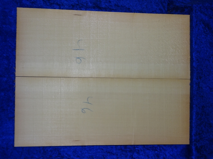 Fichte 3863 Gitarre Nachlass