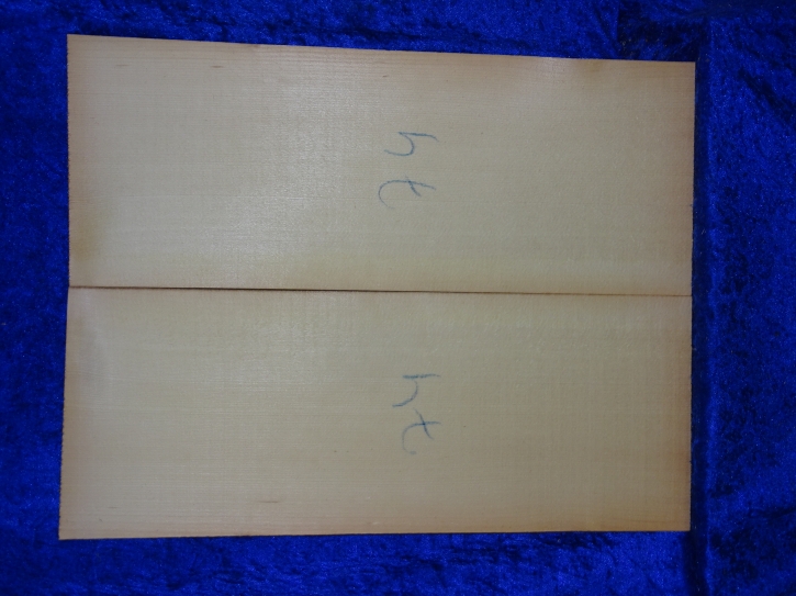 Fichte 3864 Gitarre Nachlass