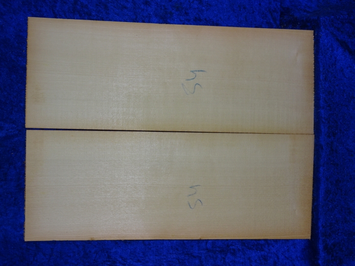 Fichte 3865 Gitarre Nachlass