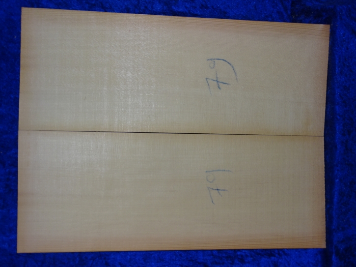 Fichte 3866 Gitarre Nachlass