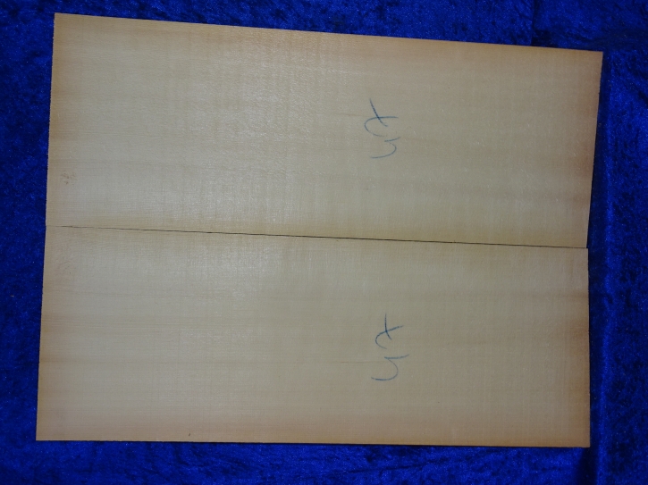 Fichte 3868 Gitarre Nachlass