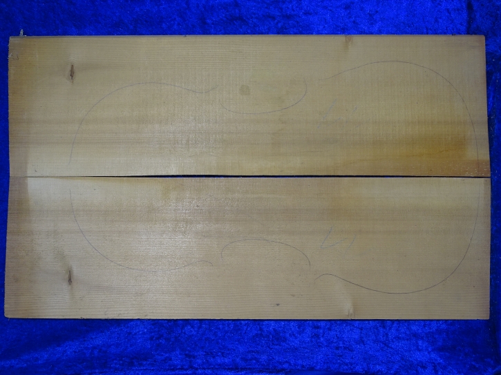 alte Fichte 3871 Cello