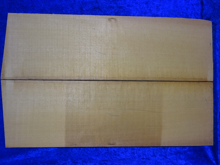 alte Fichte 3873 aus Nachlass