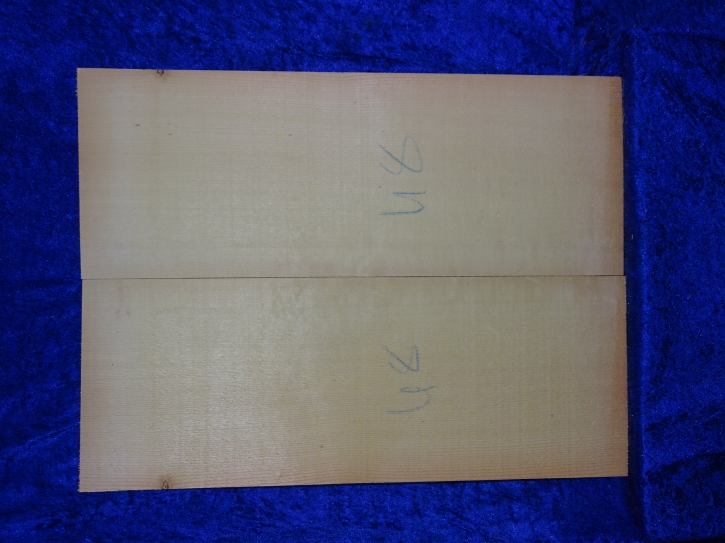 Fichte 3881 Gitarre Nachlass Hasel