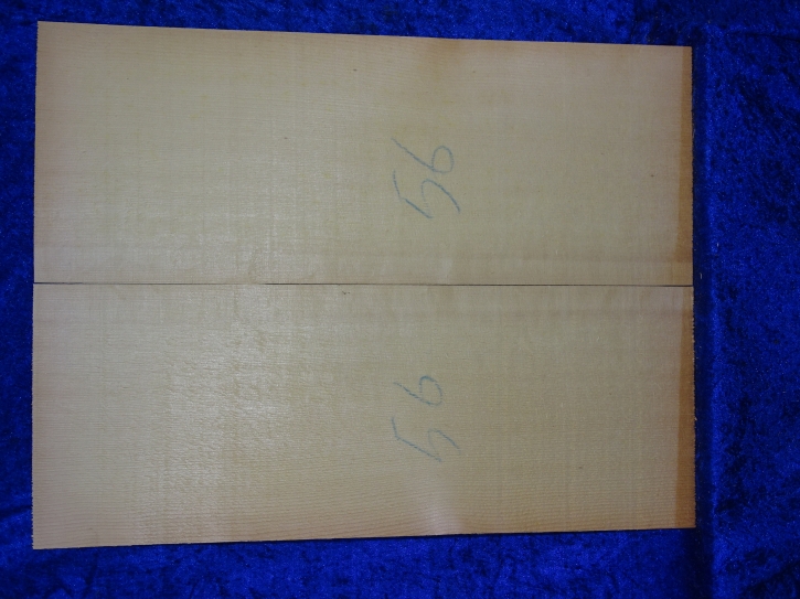 Fichte 3882 Gitarre Nachlass Hasel