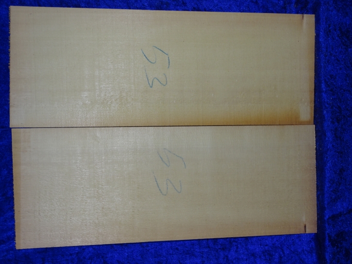 Fichte 3883 Gitarre Nachlass Hasel