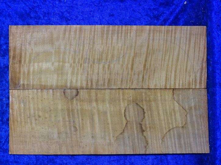 maple 3897 from estate min 50 years