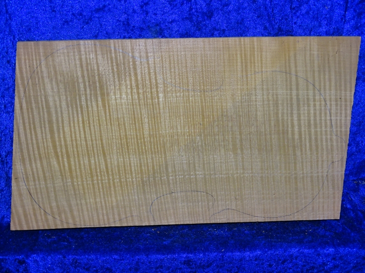 ganzer Ahorn 3905 aus Nachlass