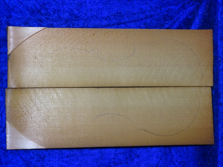 from estate: old Split spruce 3915